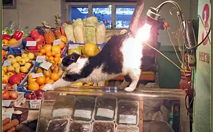 Что-то стало холодать