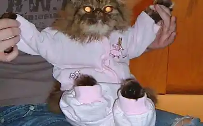Ребята и котята  (21 фотография)