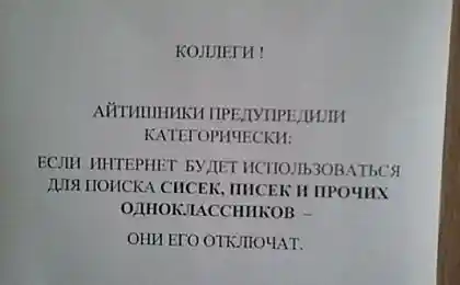 Сиськи, письки и другие одноклассники