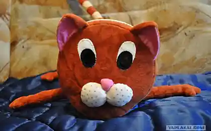 Кот "Батон"