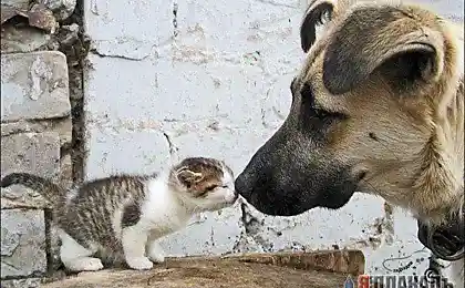 Эх... Понедельник...