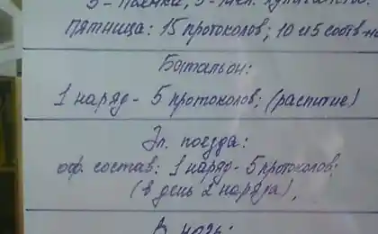 Норма протоколов на сутки