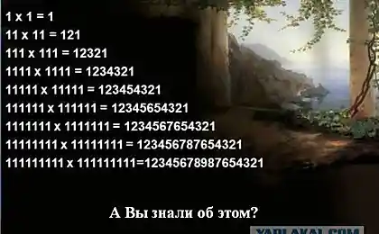 А вы знали об этом? (4 урока)