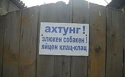 Злюкен собакен!