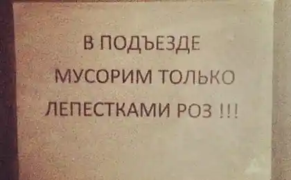 15 анонсів серця з наших в’їздів