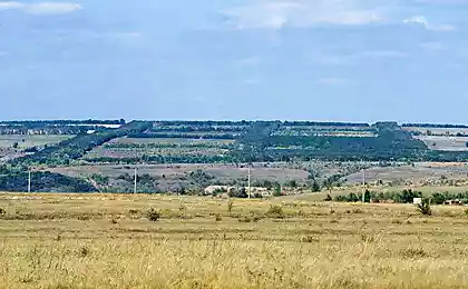 Сталинский план преобразования природы