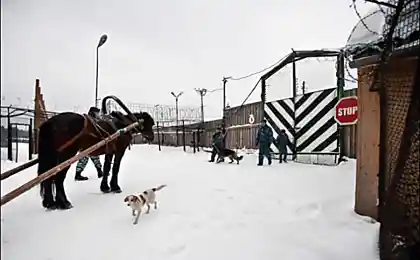 Быт архангельской колонии