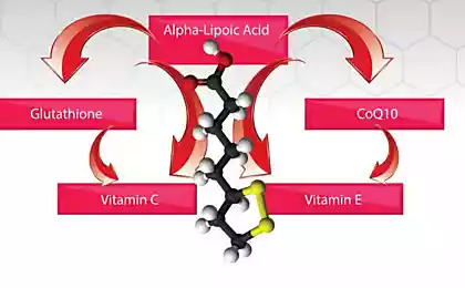 Альфа-липоевая кислота: обновляет печень и ОМОЛАЖИВАЕТ весь организм