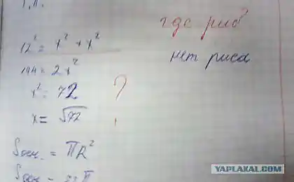 Где рис?