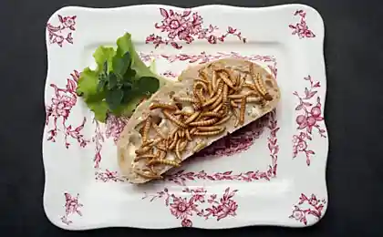 Меню из насекомых