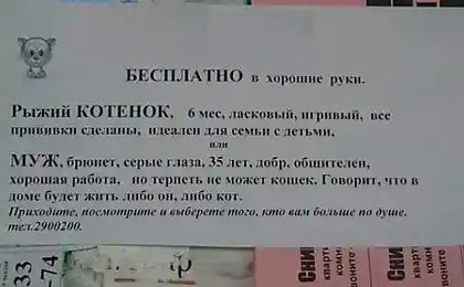 Действительно сложный выбор ....))))