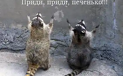 Утренняя молитва