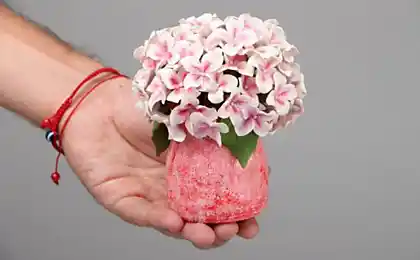 10 plantas de interior que pueden matar a una persona