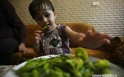 Маленький огнедышащий мальчик с луженой глоткой