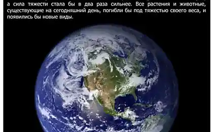 Очень интересные ответы на вопросы, которые просто не принято задавать