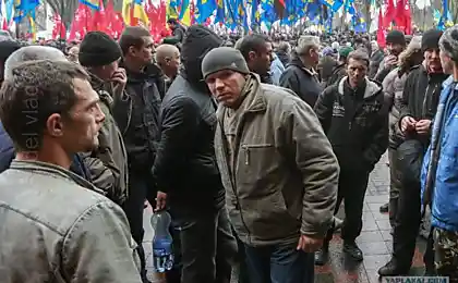 Українські геї