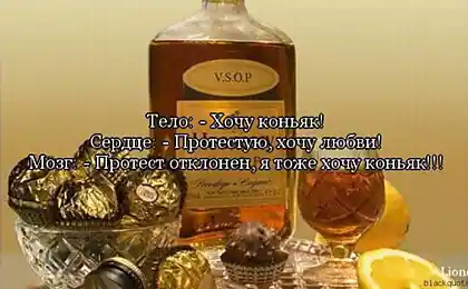 Смішні вирази та фрази