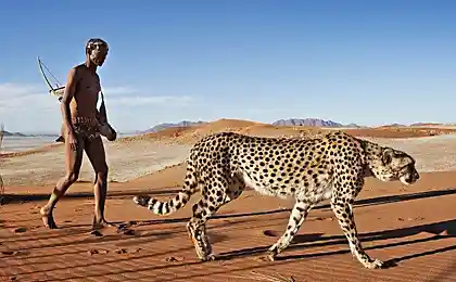 Лучший друг гепард (5 фотографий)