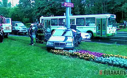 Милосердя.