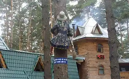 Ведьмы тоже права покупают.