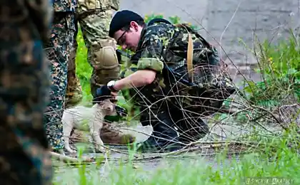 Солдат ребенка не обидит