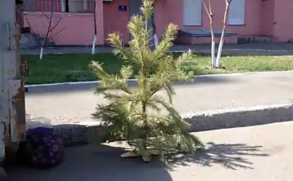 Я зробив це!