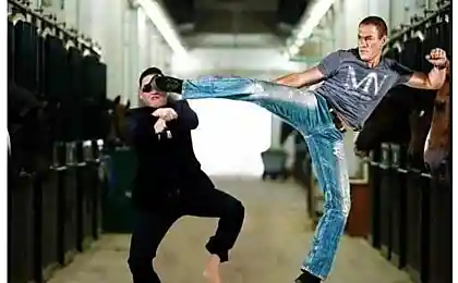 Van Damme Style