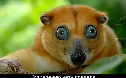 Около праздничное настроение!