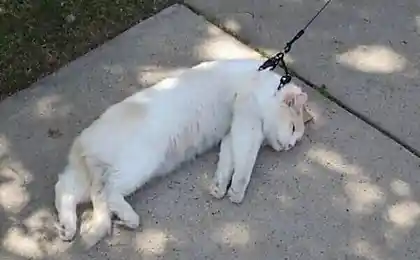 Обычный понедельник