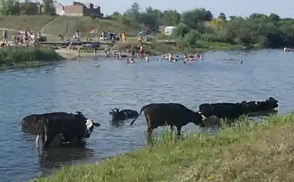 Русский пляж ....))))