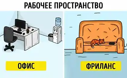 15 метких комиксов о том, как живут фрилансеры и офисные работники