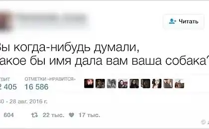 15 filosóficas de tweets, que se rompió la lógica de