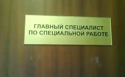 Новая должность