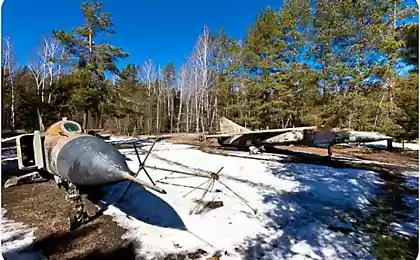 В глухом подмосковном лесу...