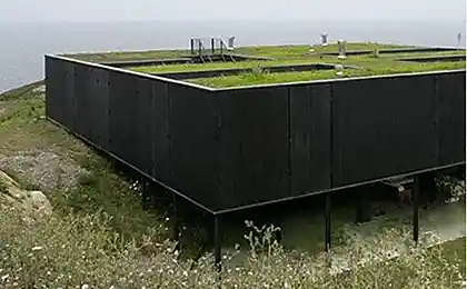 Дом из контейнеров (11 фото)