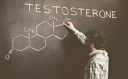 9 действенных способов поднять уровень тестостерона естественным образом