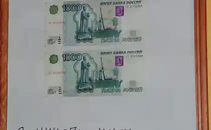 Осередок сина