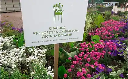 20+ незрівнянних написів і анонсів, які змушують вас ставити