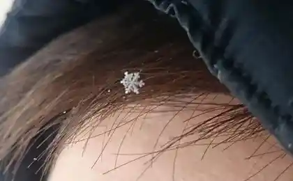 Новогодняя