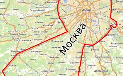 Золота голова зростає!