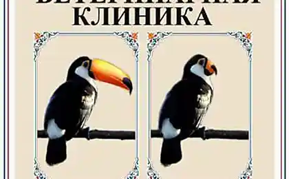 Изумительная пластика