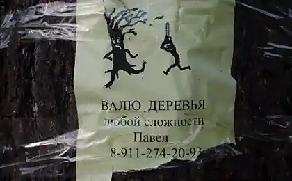 Объявление.