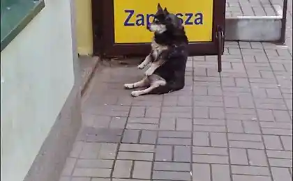 Сидячий протест