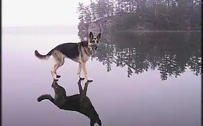 Красиффааа....