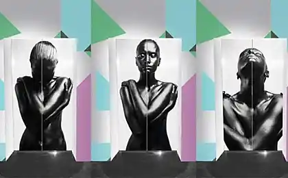 A creative collection of decor for elevators