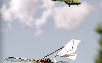 Долетишь - позвони!