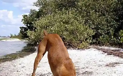 Что не так на этих фотках? =)