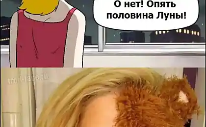 Полуоборотень