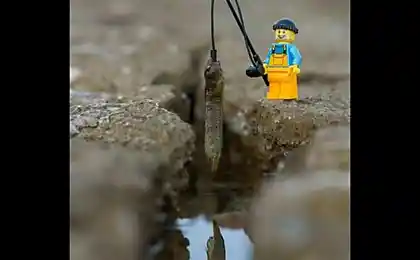 Веселе життя іграшок