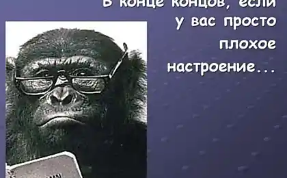 Великий будиночок.